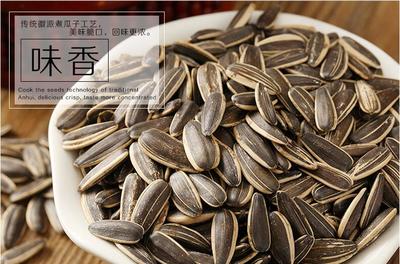 品味休閑時光 招商徽記五香瓜子，舌尖上的炒貨藝術